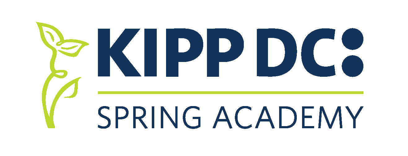 Spring Academy